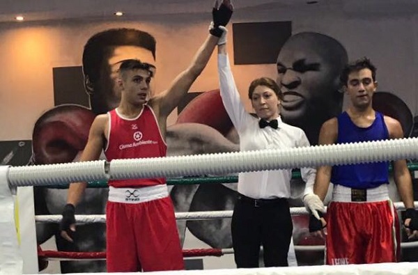 box-cavalalro